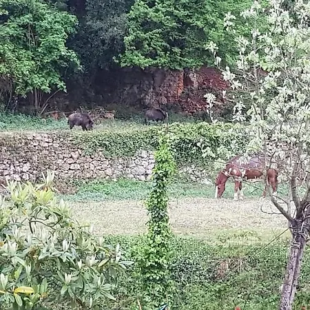 Hébergement de vacances Rocca Di Corno Finale Ligure