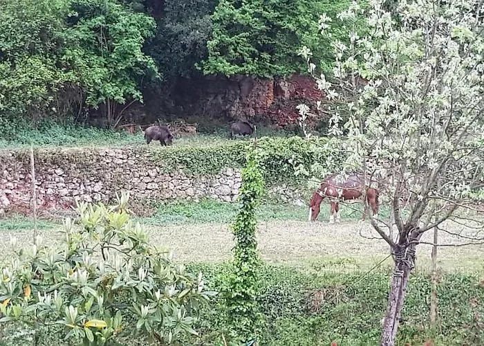 Сasa de vacaciones Rocca Di Corno Finale Ligure